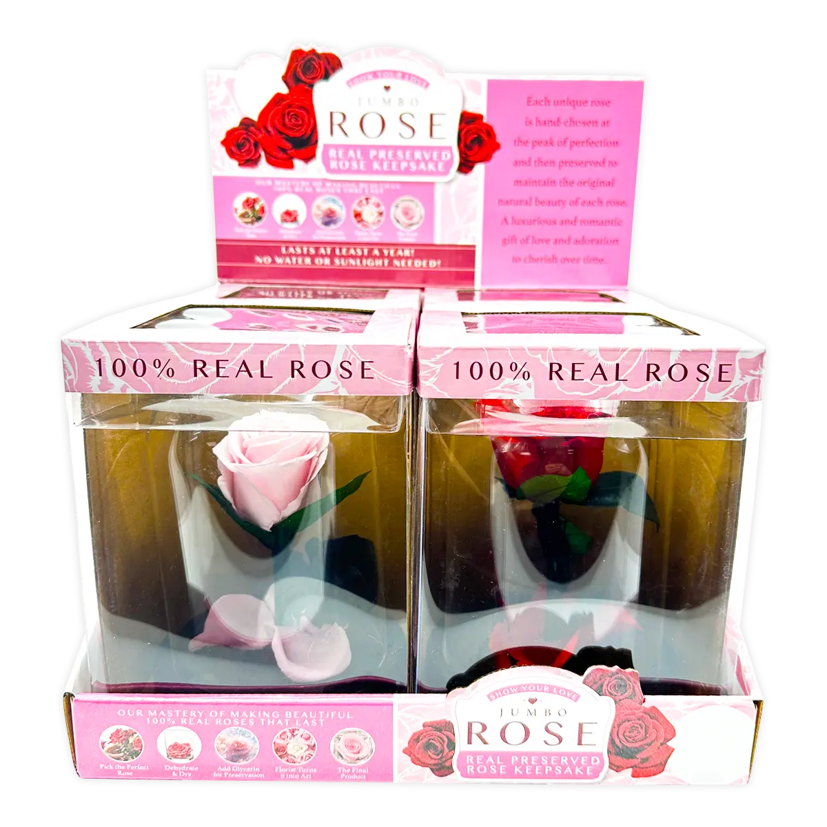 Glass Dome Real Preserved Rose Keepsake - 4 Pieces Per Retail Ready Display 25008 NOVELTY INC