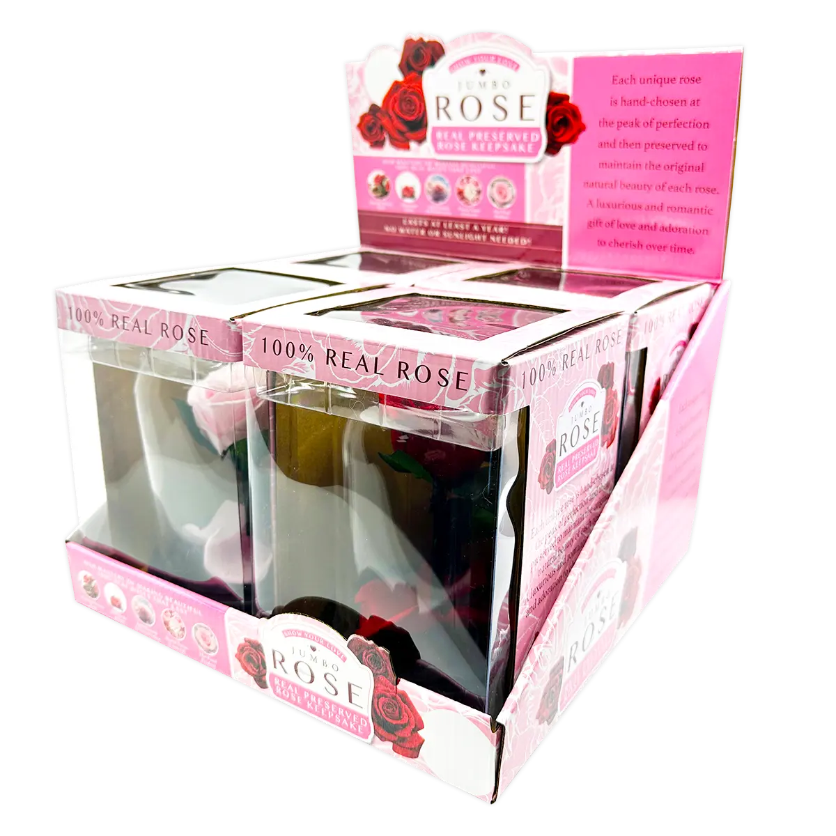 Glass Dome Real Preserved Rose Keepsake - 4 Pieces Per Retail Ready Display 25008 NOVELTY INC