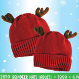 Christmas Antler Winter Knit Hat Beanie - 6 Pieces Per Retail Ready Display 22650