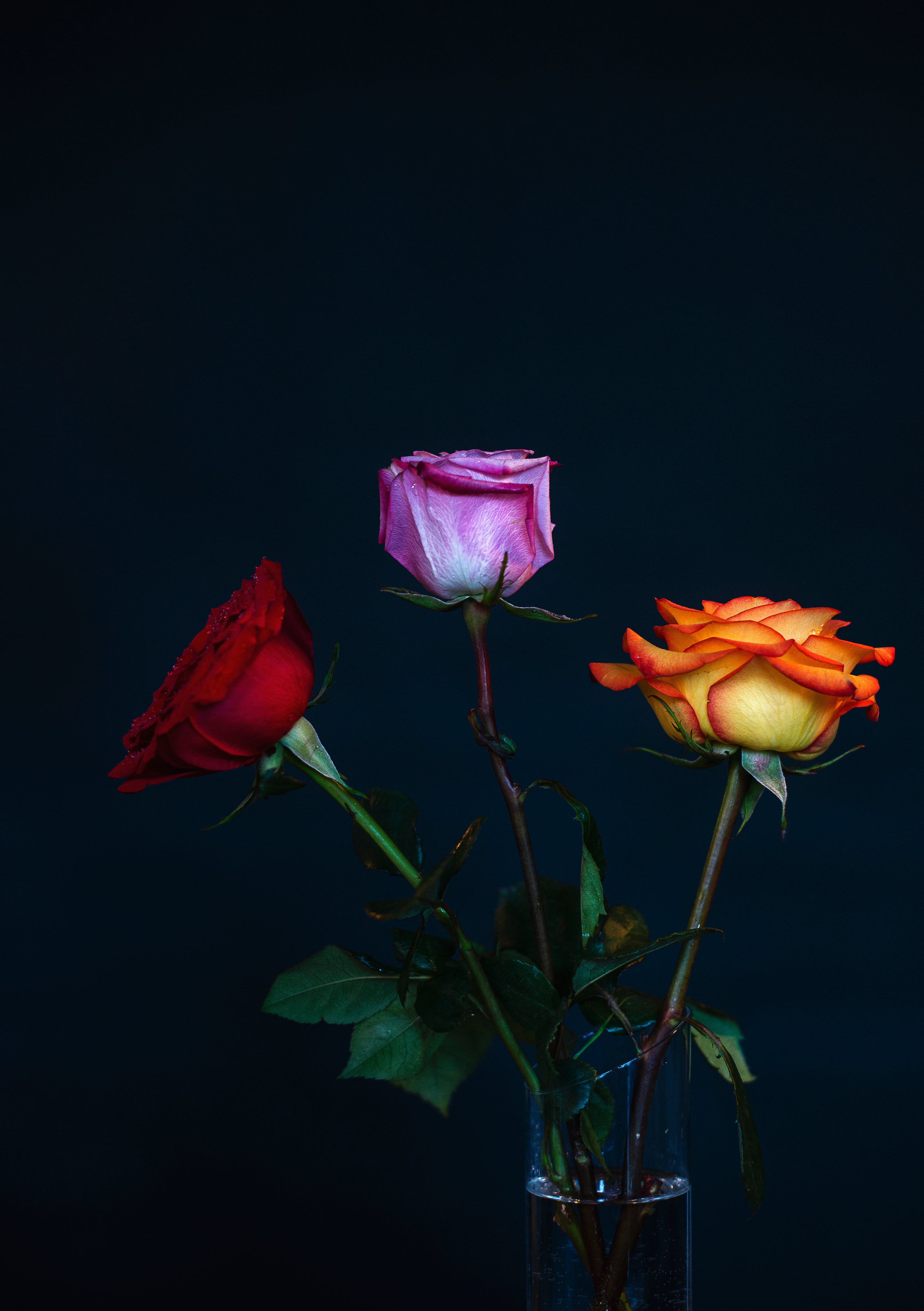 VALENTINE-S-DAY NOVELTY INC WHOLESALE