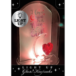 Light-Up Glass Keepsake - 6 Pieces Per Retail Ready Display 24545 NOVELTY INC