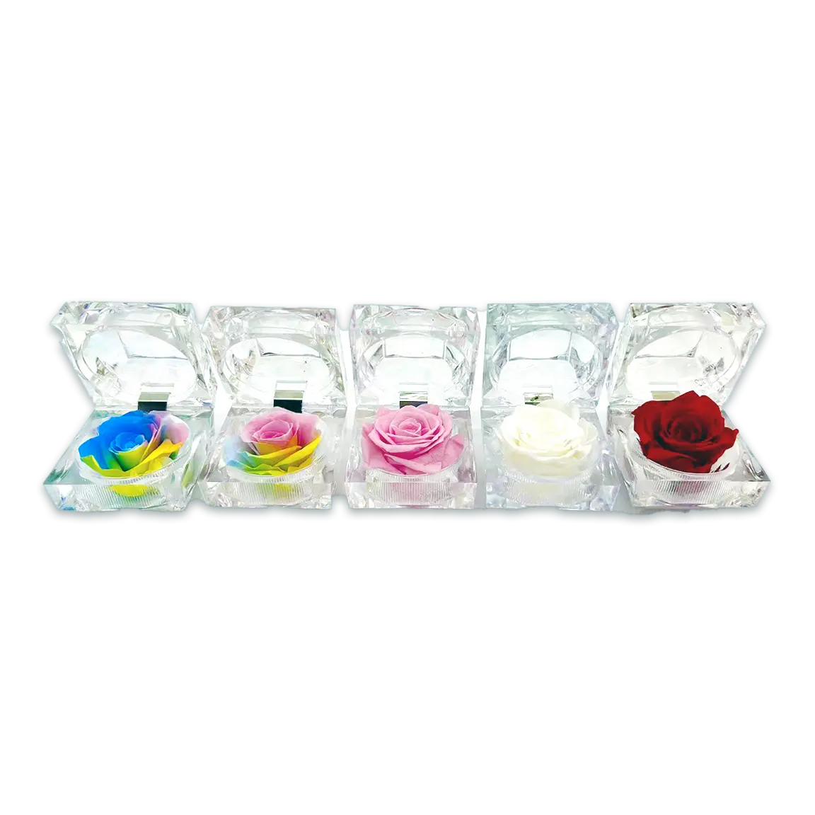 Diamond Real Preserved Rose Keepsake - 12 Pieces Per Retail Ready Display 24888 KIPP BROTHERS