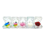 Diamond Real Preserved Rose Keepsake - 12 Pieces Per Retail Ready Display 24888 KIPP BROTHERS