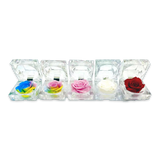 Diamond Real Preserved Rose Keepsake - 12 Pieces Per Retail Ready Display 24888 KIPP BROTHERS