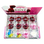 Diamond Real Preserved Rose Keepsake - 12 Pieces Per Retail Ready Display 24888 KIPP BROTHERS