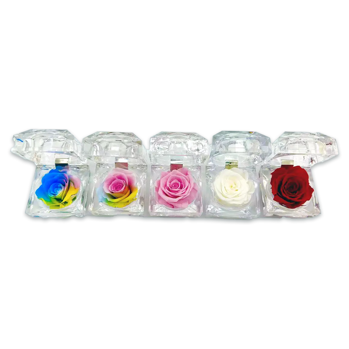 Diamond Real Preserved Rose Keepsake - 12 Pieces Per Retail Ready Display 24888 KIPP BROTHERS