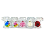 Diamond Real Preserved Rose Keepsake - 12 Pieces Per Retail Ready Display 24888 KIPP BROTHERS