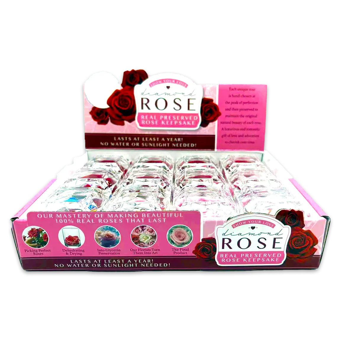 Diamond Real Preserved Rose Keepsake - 12 Pieces Per Retail Ready Display 24888 KIPP BROTHERS