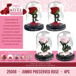 Glass Dome Real Preserved Rose Keepsake - 4 Pieces Per Retail Ready Display 25008 NOVELTY INC