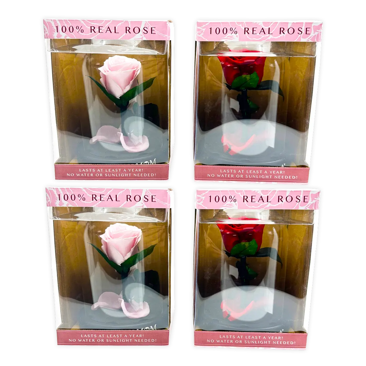 Glass Dome Real Preserved Rose Keepsake - 4 Pieces Per Retail Ready Display 25008 NOVELTY INC