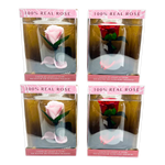 Glass Dome Real Preserved Rose Keepsake - 4 Pieces Per Retail Ready Display 25008 NOVELTY INC