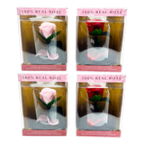 Glass Dome Real Preserved Rose Keepsake- 4 Pieces Per Retail Ready Display 25008