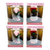 Glass Dome Real Preserved Rose Keepsake - 4 Pieces Per Retail Ready Display 25008 NOVELTY INC