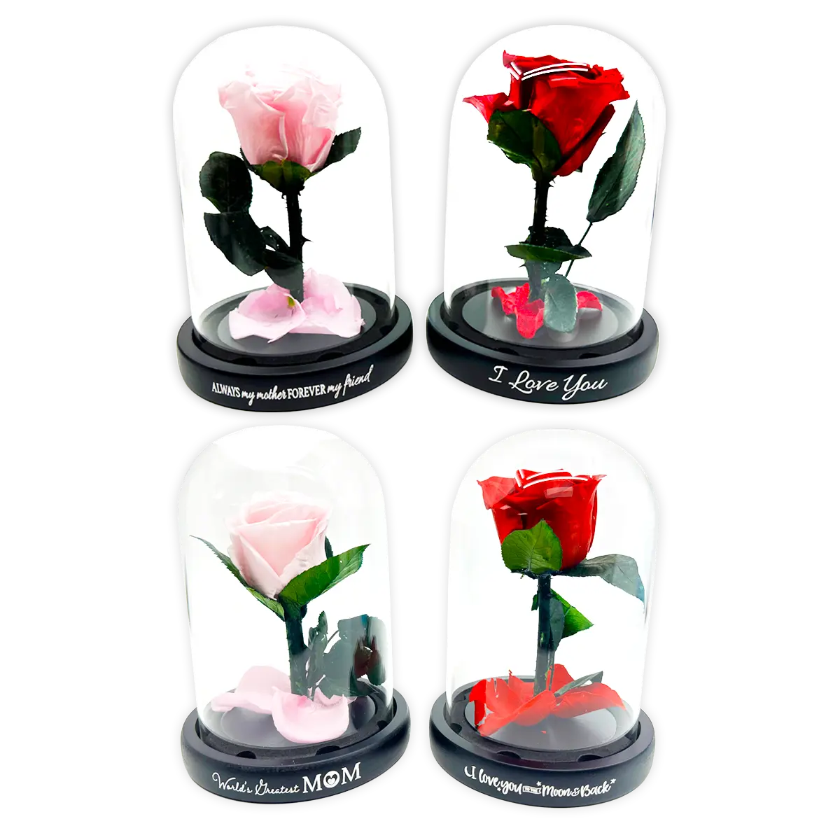 Glass Dome Real Preserved Rose Keepsake - 4 Pieces Per Retail Ready Display 25008 NOVELTY INC