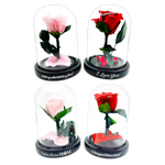 Glass Dome Real Preserved Rose Keepsake - 4 Pieces Per Retail Ready Display 25008 NOVELTY INC