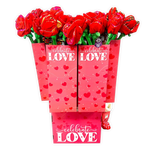 Valentine's Day Plush and Gift Assortment Floor Display - 48 Pieces Per Retail Ready Display 88501 KIPP BROTHERS