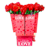 Valentine's Day Plush and Gift Assortment Floor Display - 48 Pieces Per Retail Ready Display 88501 KIPP BROTHERS