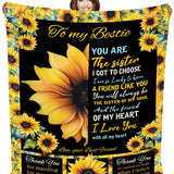 Blanket Family Print Assortment Floor Display - 24 Pieces Per Retail Ready Display 88510 KIPP BROTHERS
